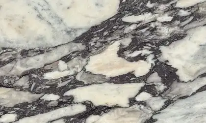Closeup image of Calacatta Viola White Marble countertop slab