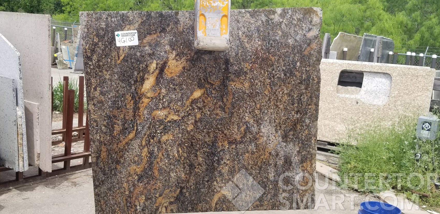 Image of Item