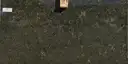 Image of Bundle
