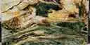 Image of Bundle
