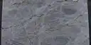 Image of Bundle