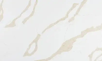 Image of Bundle