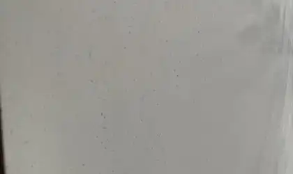 Image of Item