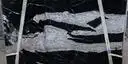 Image of Bundle
