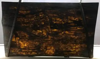 Image of Bundle