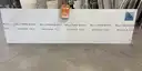 Full image of Della Terra Absolute White Quartz countertop slab