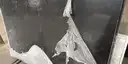 Image of Item