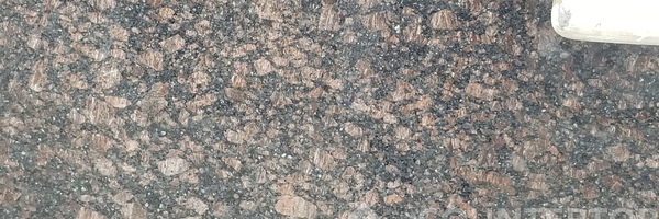 Image of Item