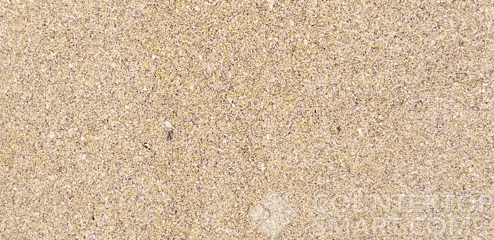 Image of Item