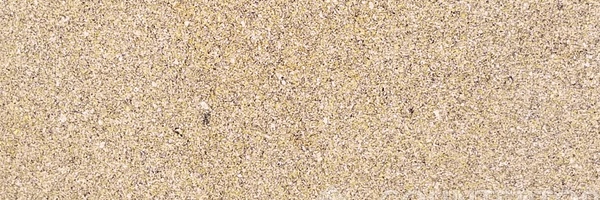 Image of Item
