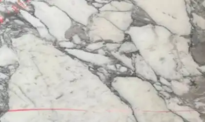 Closeup image of Arabescato Vagli White Marble countertop slab