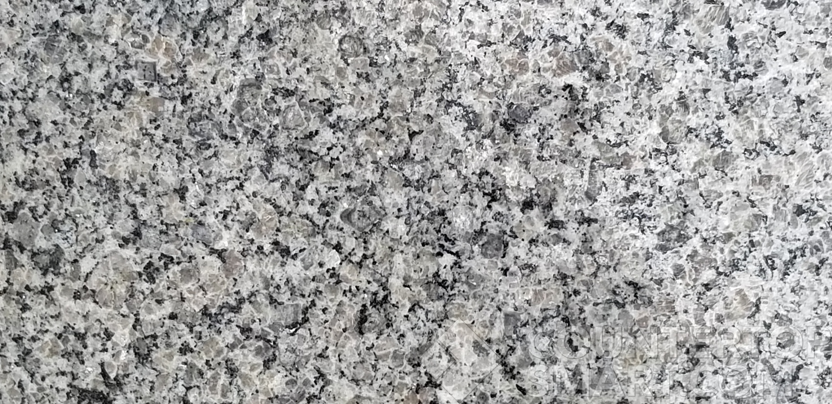 Image of Item