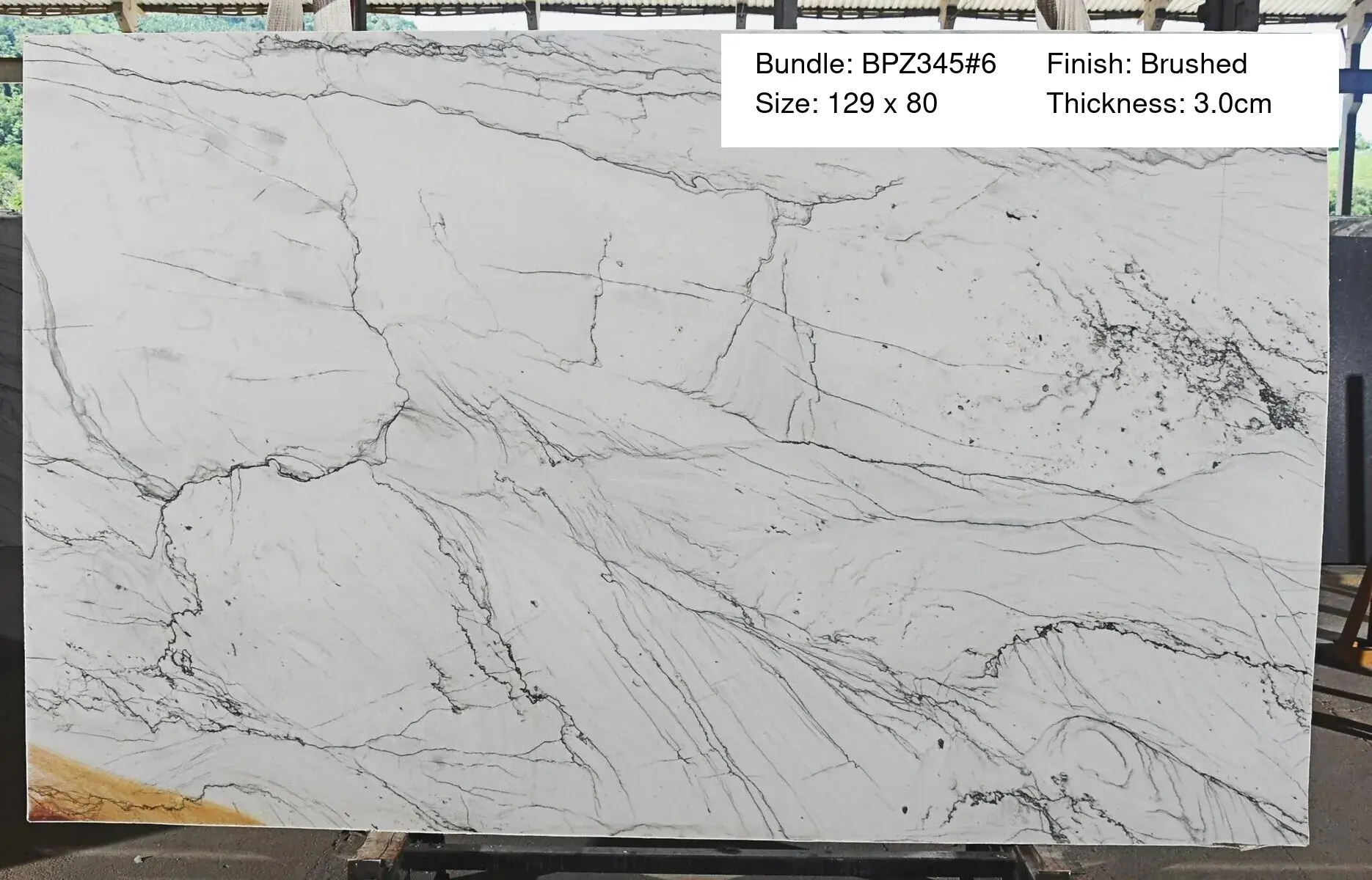 Image of Bundle