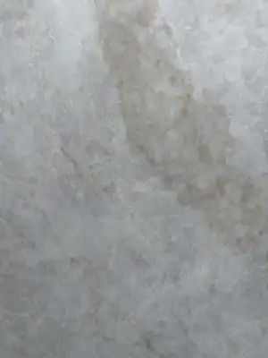 Closeup image of Viatera Taj Duna Cream Quartz countertop slab