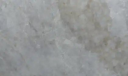 Closeup image of Viatera Taj Duna Cream Quartz countertop slab