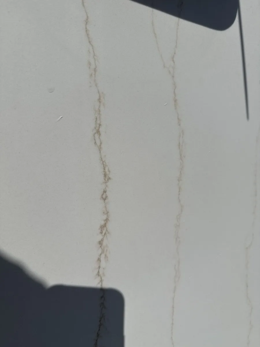 Closeup image of Q Quartz Calacatta Dante White Quartz countertop slab