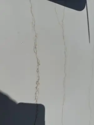 Closeup image of Q Quartz Calacatta Dante White Quartz countertop slab