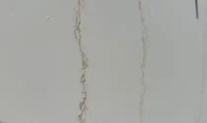 Closeup image of Q Quartz Calacatta Dante White Quartz countertop slab