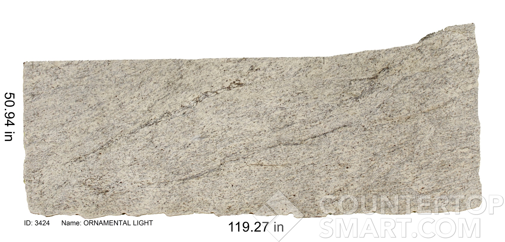 Image of Item