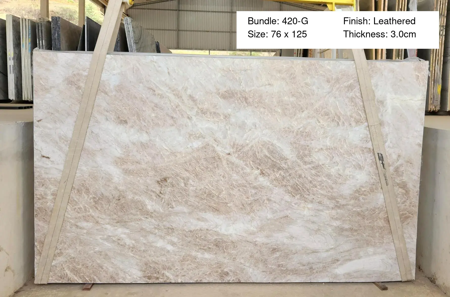 Image of Bundle