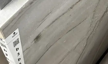 Full image of Mont Blanc Quartzite countertop slab