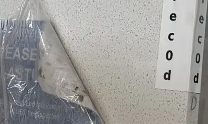Image of Item