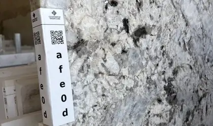 Image of Item
