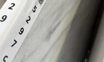Image of Item