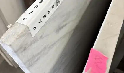 Full image of Mont Blanc White Quartzite countertop slab