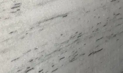 Closeup image of Fantasy White Marble countertop slab