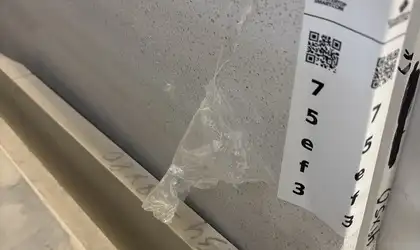Image of Item
