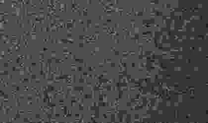 Image of Bundle
