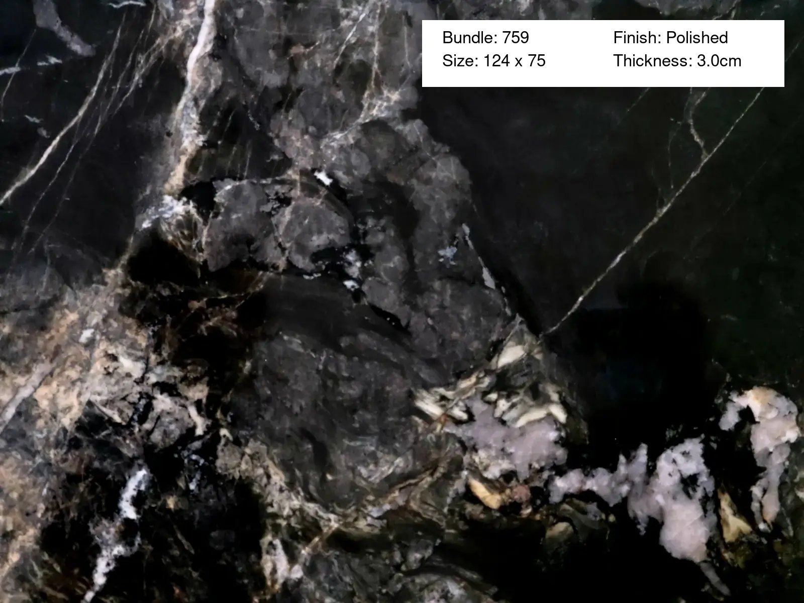 Image of Bundle