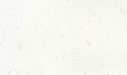 Image of Bundle
