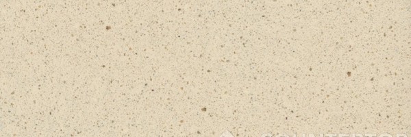 Image of Item