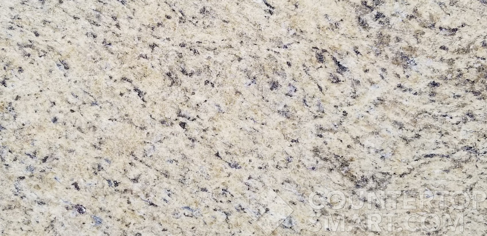 Image of Item