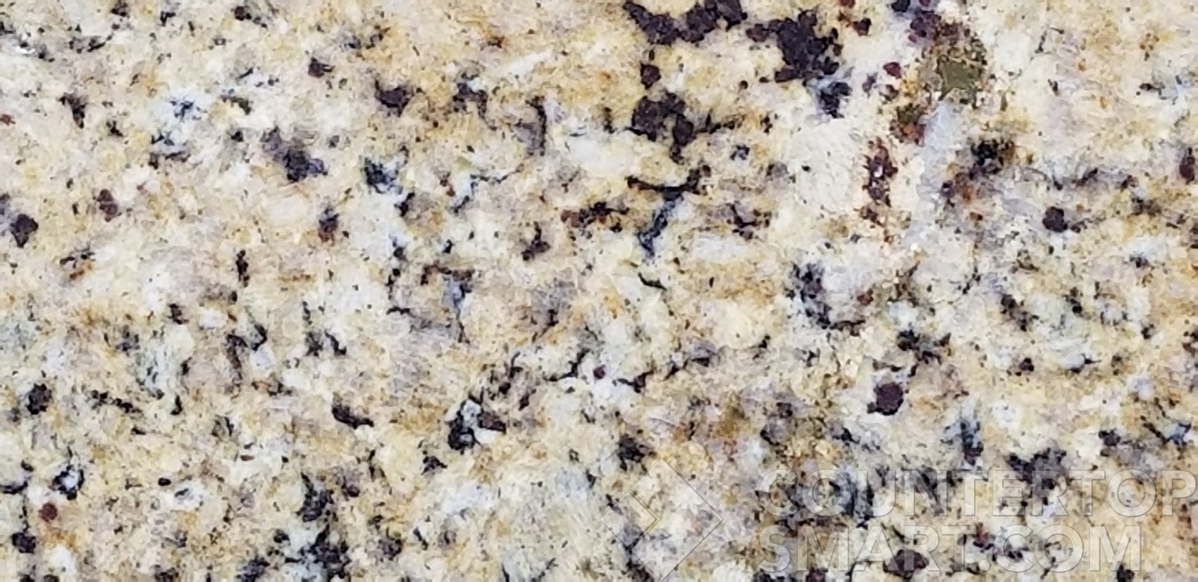 Image of Item