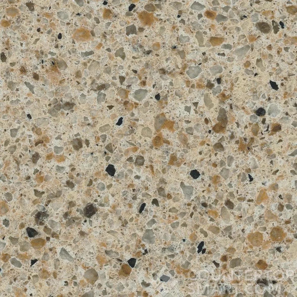 Image of Item