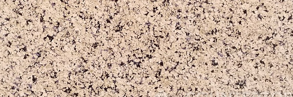 Image of Item