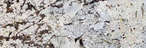 Image of Item