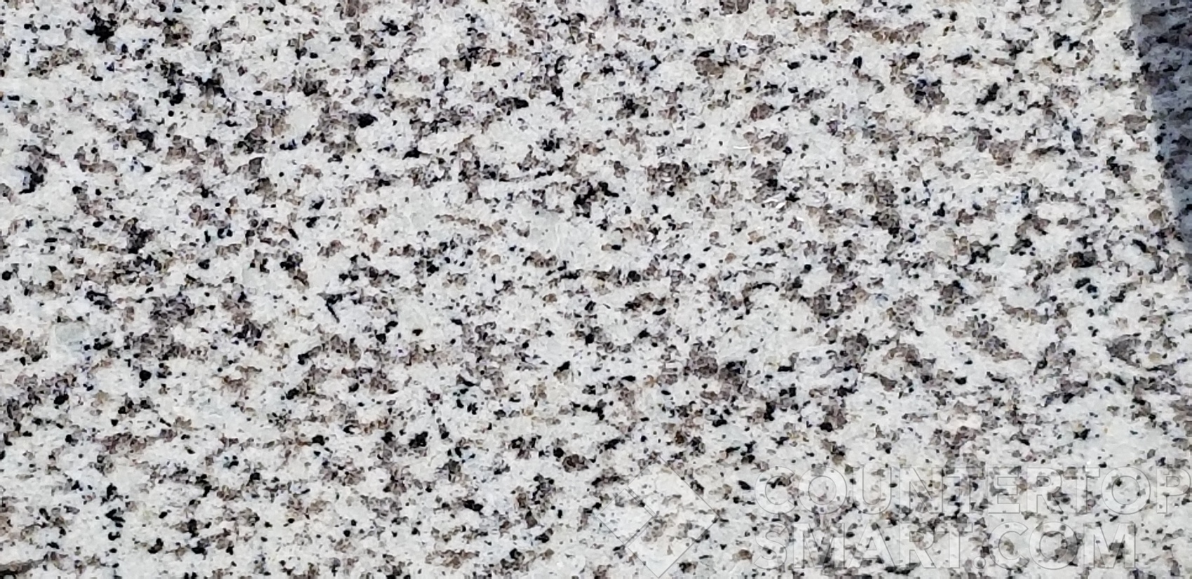 Image of Item