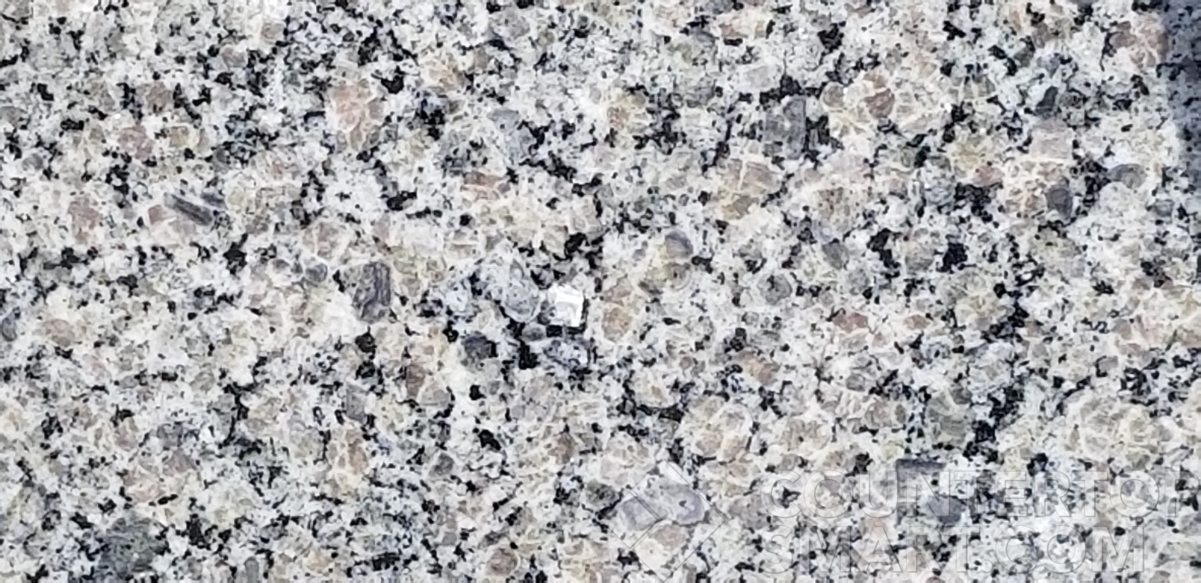Image of Item