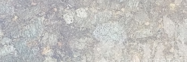 Image of Item