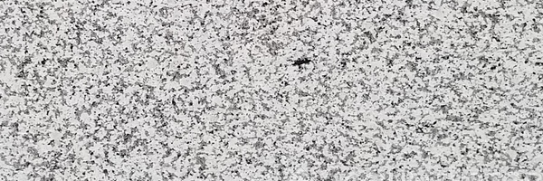 Image of Item