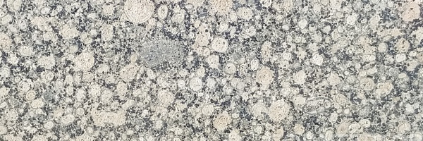 Image of Item