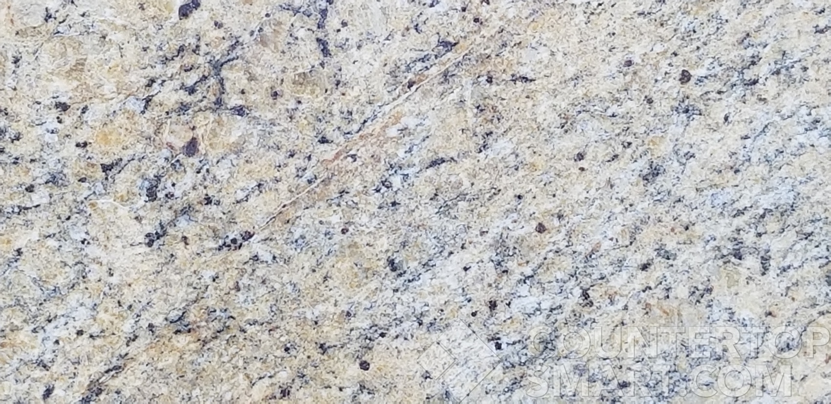 Image of Item