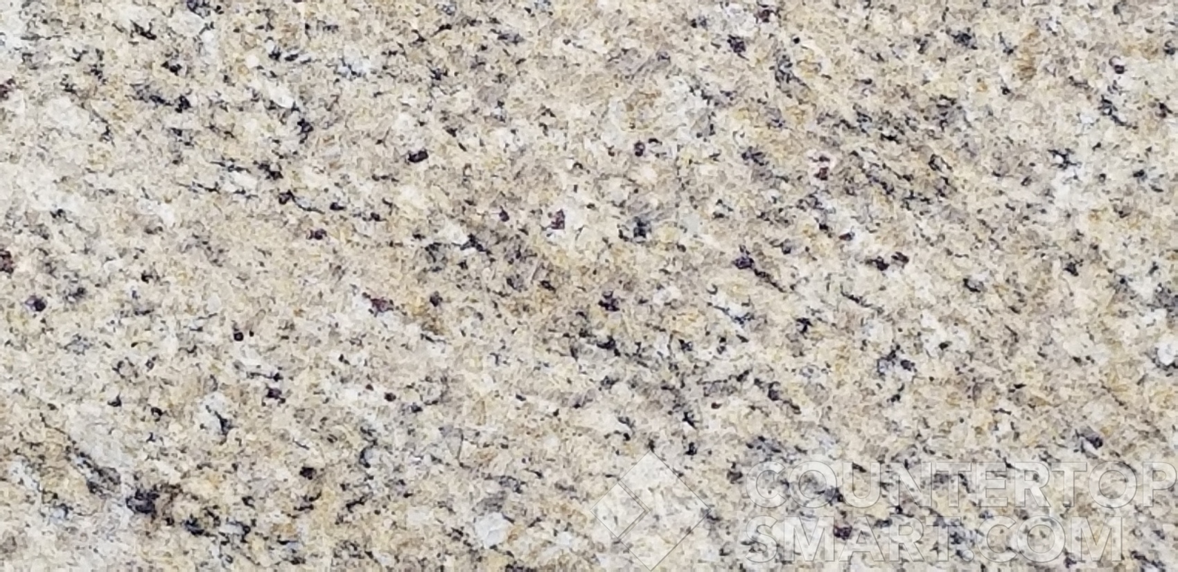 Image of Item