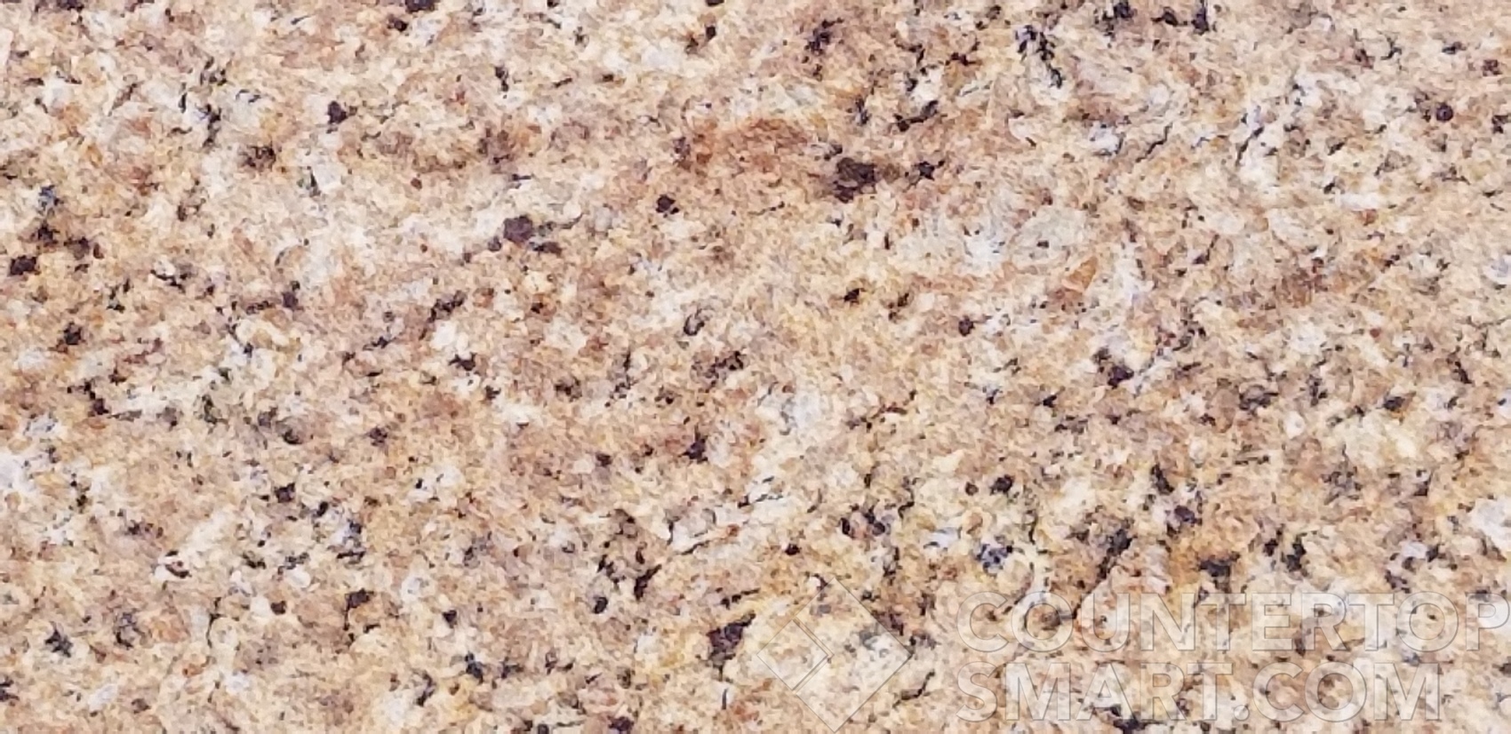 Image of Item