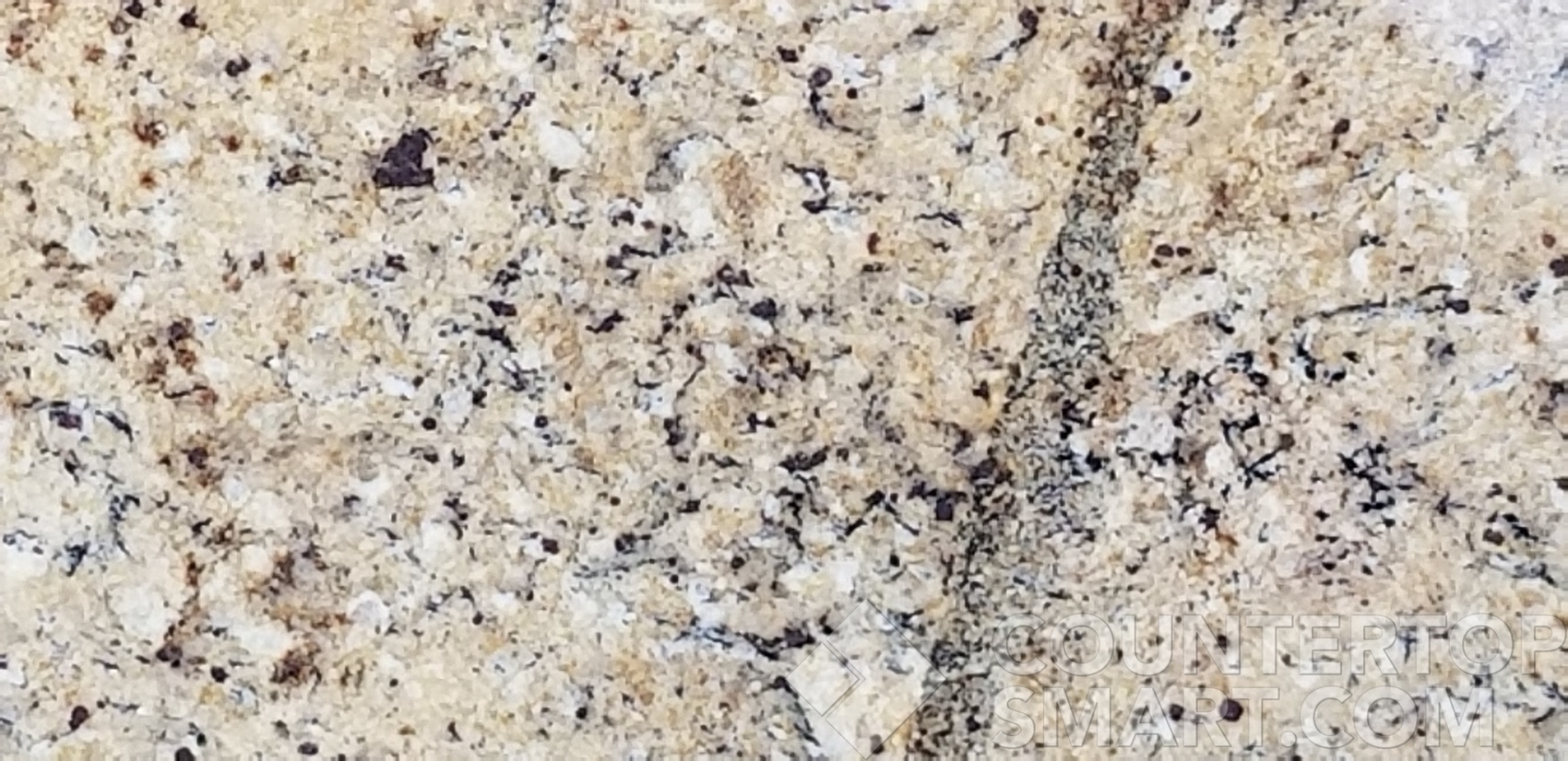 Image of Item
