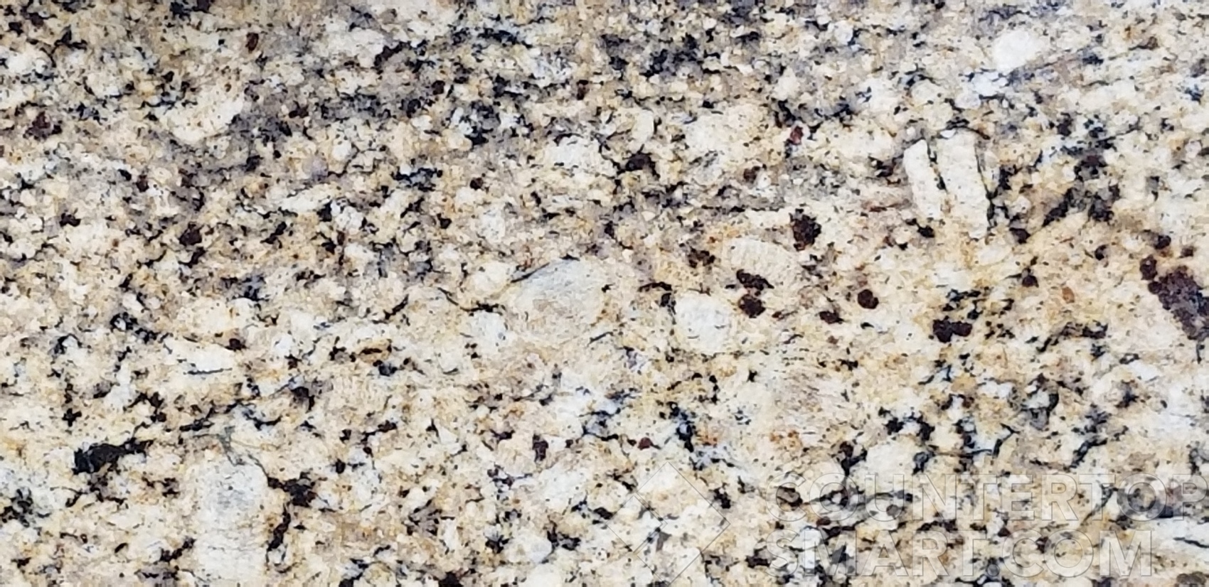 Image of Item